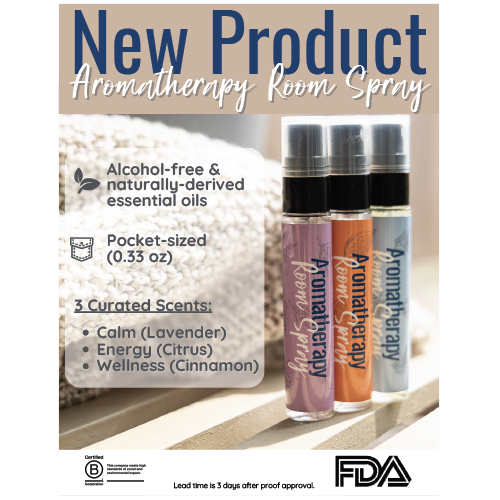 new product flyer example