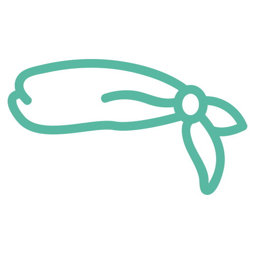headband