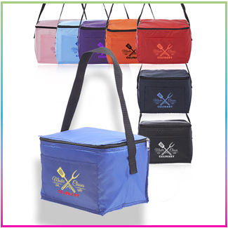 6-Pack Cooler Lunch Bags (ALUN01)
