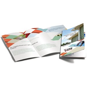Brochure Example