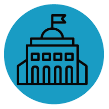 government icon