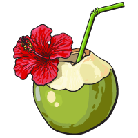 Coconut water sketch
