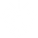 Handshake icon