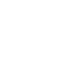 KN95 Mask icon