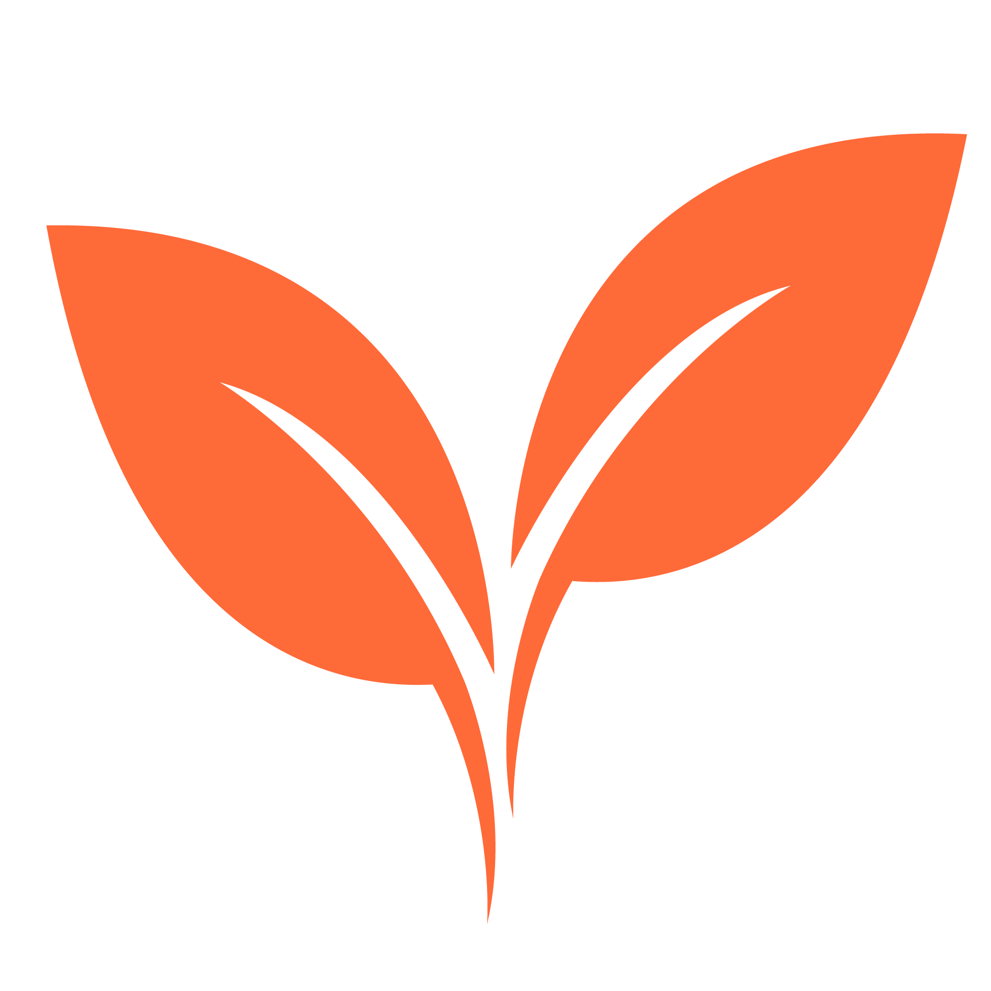 leaf icon