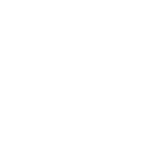 lighting icon