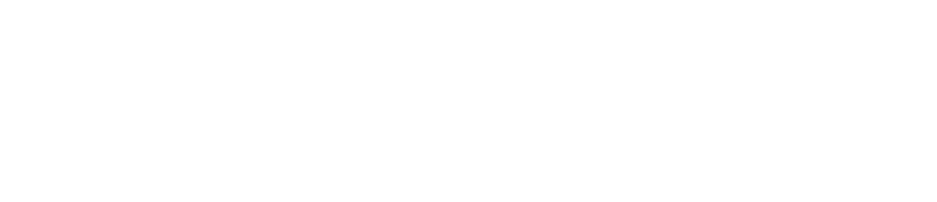 Next Level Apparel