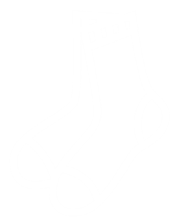 socks icon