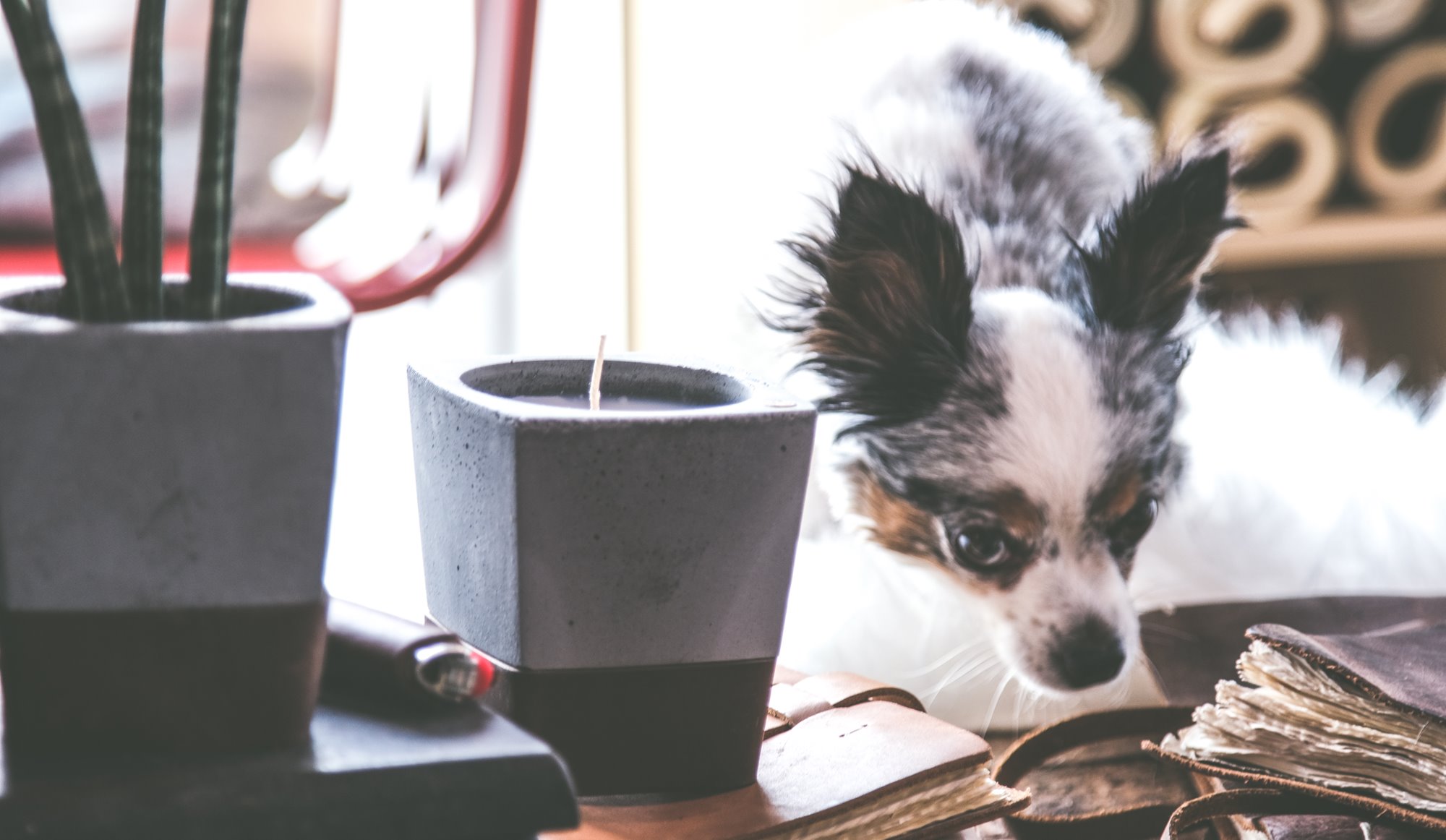 Lifestyle Image of Rustico Candle (HS0005)