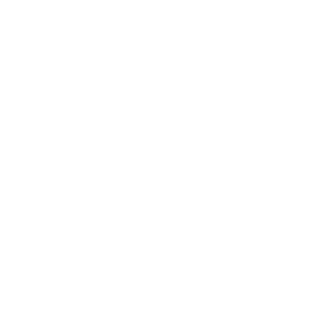 Work From Home Icon