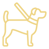 dog walking icon