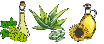 grapeseed oil, sunflower oil and aloe vera illustration