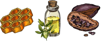 beeswax, jojoba oil and cocoa butter illustration