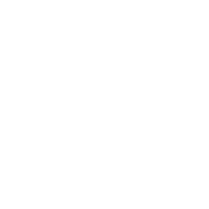 shea butter icon