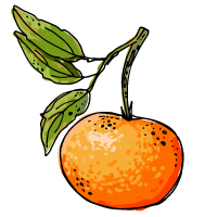Tangerine sketch