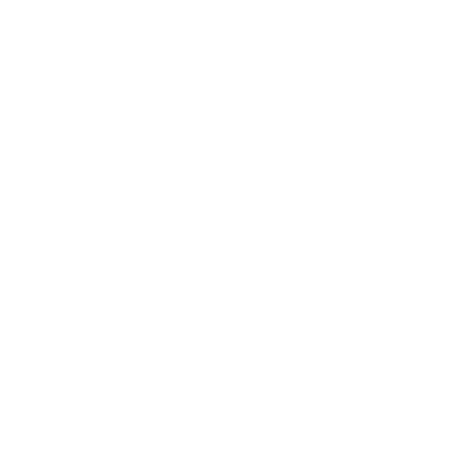 speed icon