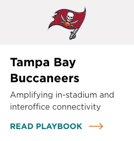 Tampa Bay Buccaneers red, white and black pirate flag logo.